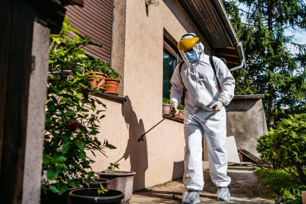 Best Rodent Control Near Me  in Coleman, TX