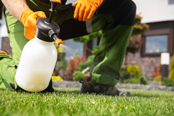 Best Best Pest Control Companies  in Coleman, TX