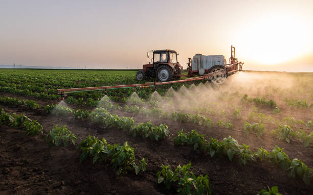 Reliable Coleman, TX Pest Control Solutions