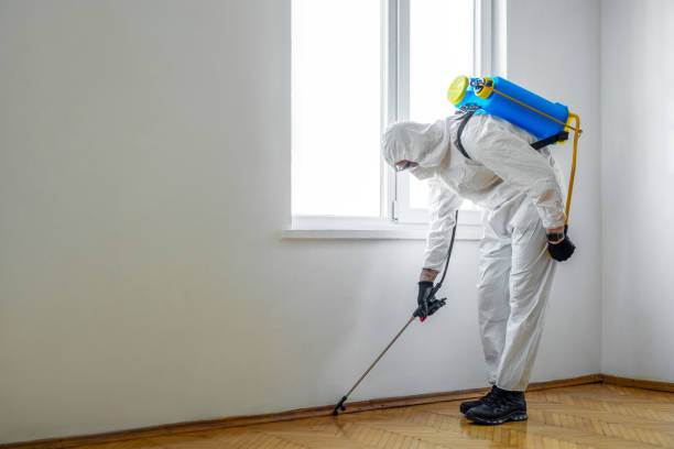 Best Bed Bug Extermination  in Coleman, TX