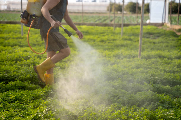 Best Mosquito Control Services  in Coleman, TX