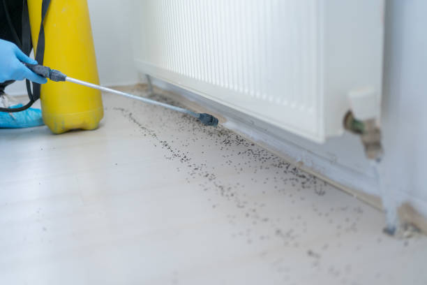 Best Pest Control for Homes  in Coleman, TX
