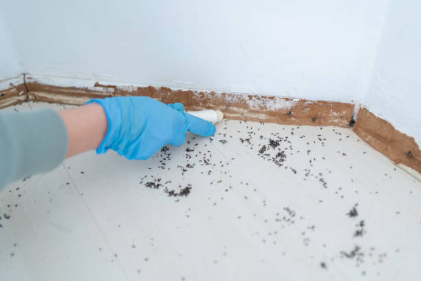 Best Commercial Pest Control Services  in Coleman, TX