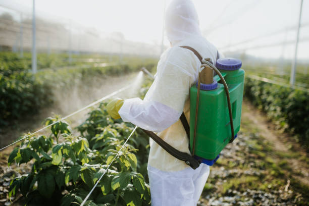 Best Cockroach Control Services  in Coleman, TX